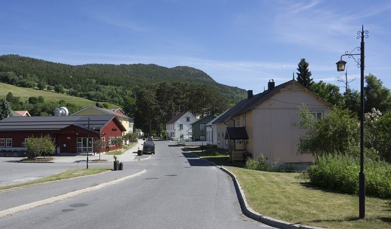 Eittpartistyre i Fyresdal?