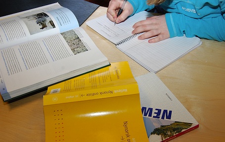 Tjue prosent av elevane som skiftar frå bokmål til nynorsk på dei vidaregåande skulane som er undersøkt, sa dei vart oppmoda til å gjera det. Foto: Toyni Tobekk